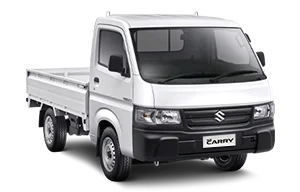 Suzuki Carry Pick Up